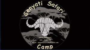 Senyati Safaris